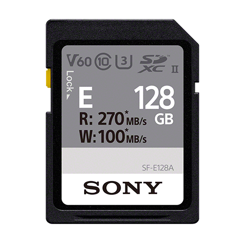 SONY SD E시리즈 ALPHA (128GB)