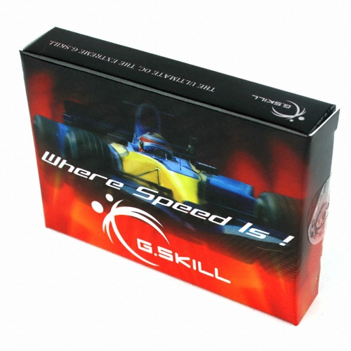 G.SKILL ��Ʈ�� DDR2-800 CL5 SA