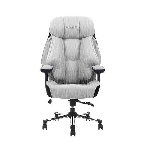 EX�۴�ó �޽�ü�� TYPE-2 PRO ���̹� ����