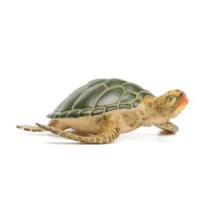 ���ĸ���Ƽ�� 274329 Ǫ���ٴٰź��� �ؾ絿���ǱԾ�