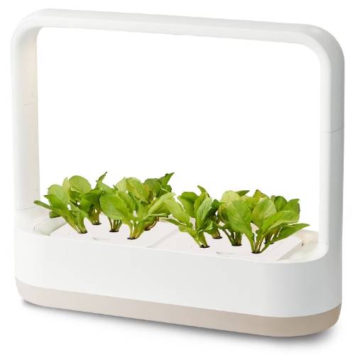 LG전자 틔운 미니 L023 (베이지)_이미지