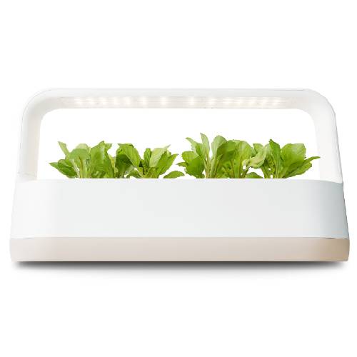 LG전자 틔운 미니 L023 (베이지)_이미지