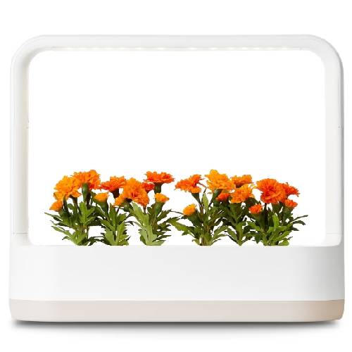 LG전자 틔운 미니 L023 (베이지)_이미지