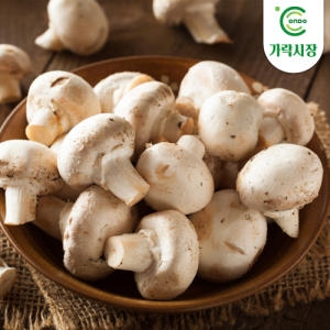 가락시장 양송이 500g
