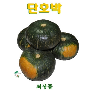 꼬레촌 단호박 수입 국내산 8kg 6과7과 size