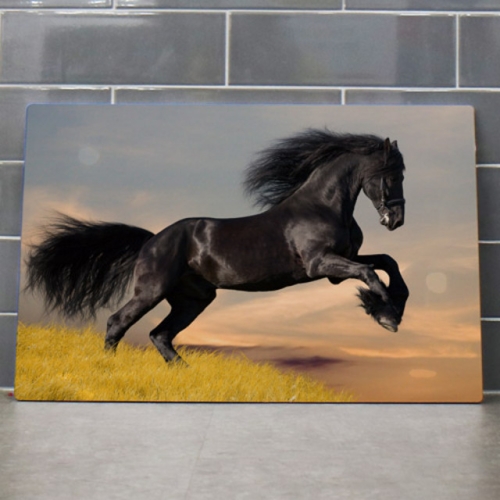 �ٹ� ��Ƽ����_��������¡�ϴ��渶-�ٹ�