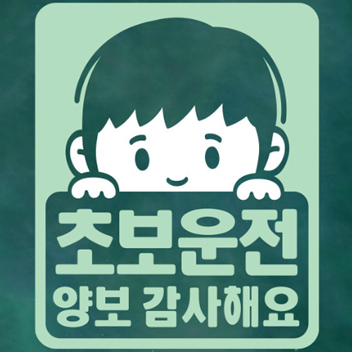 리틀메테오 초보운전 스티커 초보 랄프