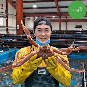 최고다농수산 대게 박달대게 러시아대게 활어 선어 자숙 찜 1kg A급 대게활어 1kg내외 1개_이미지