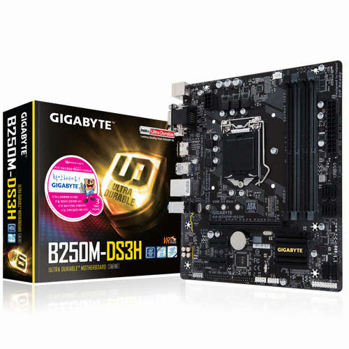 GIGABYTE GA-B250M-DS3H 듀러블에디션 제이씨현