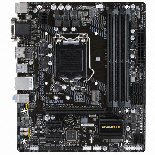 GIGABYTE GA-B250M-DS3H �෯������� ���̾���