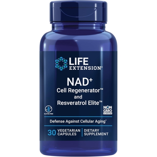 �������ͽ��ټ� NAD+ ���� ����� �� ��������Ʈ�� 30ĸ��