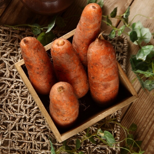 햇살조은 24년 국내산 하우스 햇 흙당근 10kg