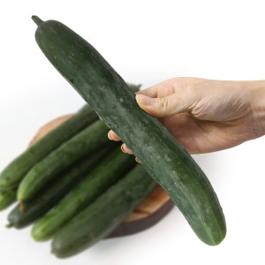 친환경팔도 수분의 여왕 청 오이 특 2kg_이미지