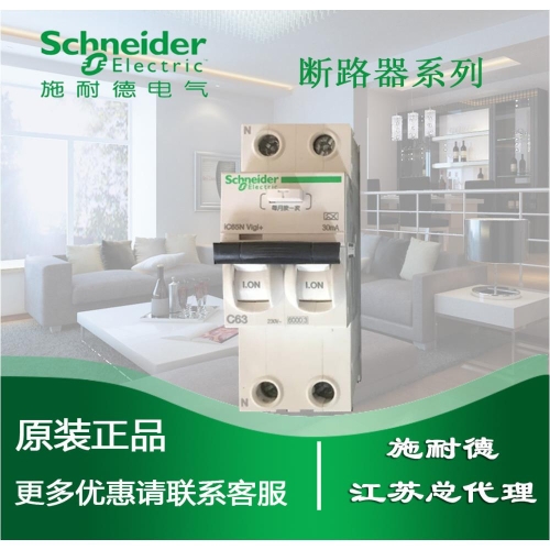 누설 보호 회로 차단기 iC65N Vigi 2P 40A 30mA A9D65240