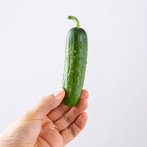 맛딜 아삭한 국내산 미니오이 2kg이미지입니다. 누르면 해당 게시물로 새창이동합니다.