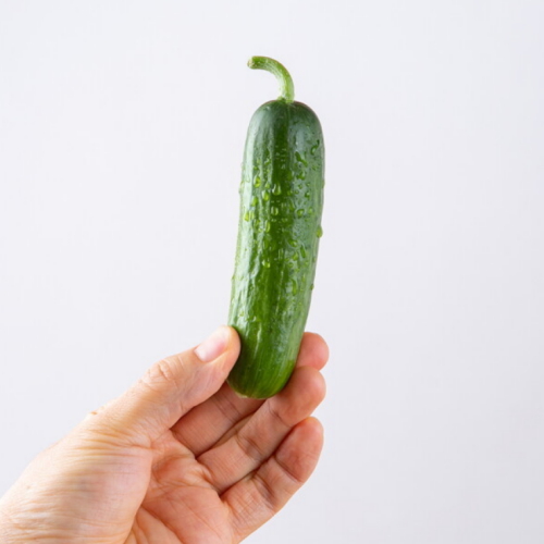 맛딜 아삭한 국내산 미니오이 2kg이미지입니다. 누르면 해당 게시물로 새창이동합니다.