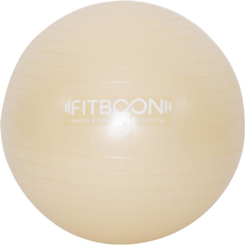 한새 핏분 짐볼 (55cm)