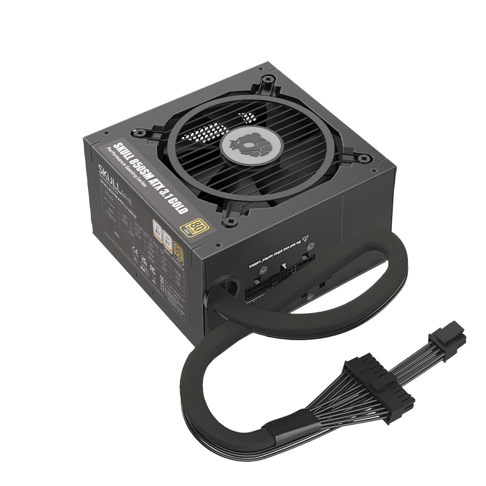 NEWZEN SKULL 850SM 모듈러 ATX3.1 80PLUS골드_이미지