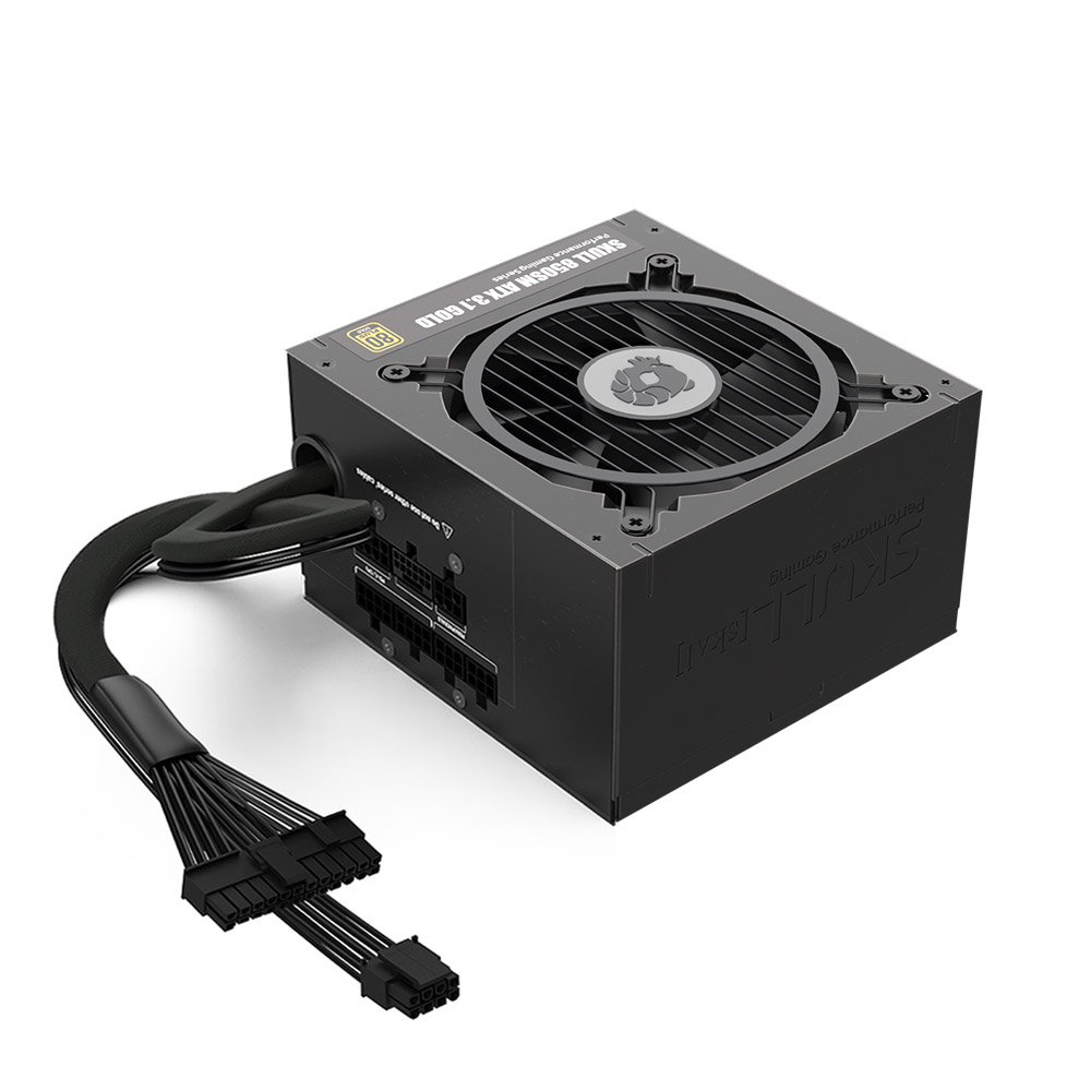 NEWZEN SKULL 850SM ��ⷯ ATX3.1 80PLUS���