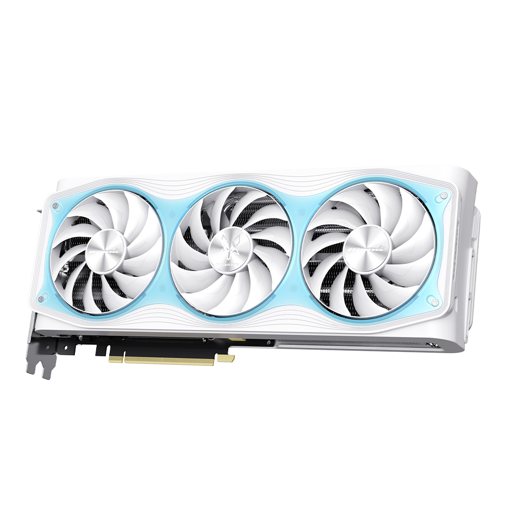 Manli 지포스 RTX 5070 Polar Fox OC V2 D7 12GB 대원씨티에스