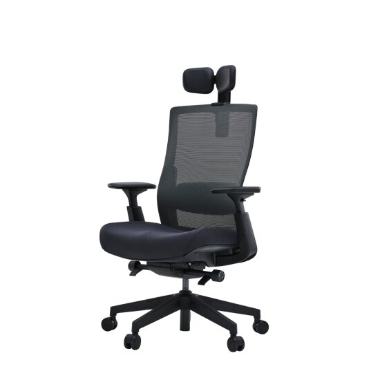 하움 뉴 테크닉 듀얼헤드형 블랙쉘 의자