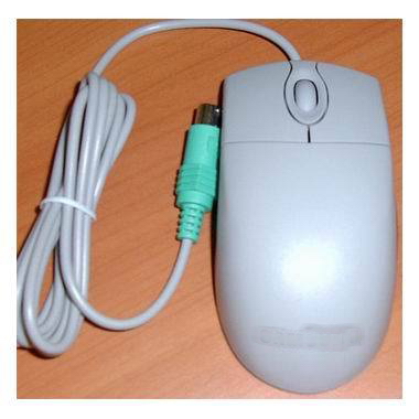사이텍시스템 ANY Optical MO42KO (벌크)_이미지