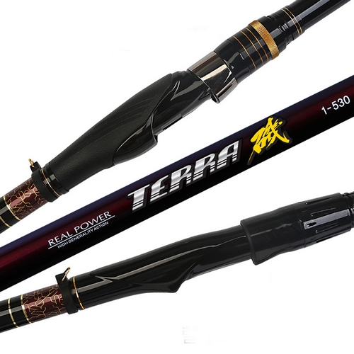 금양 테라 기 (1-530)_이미지