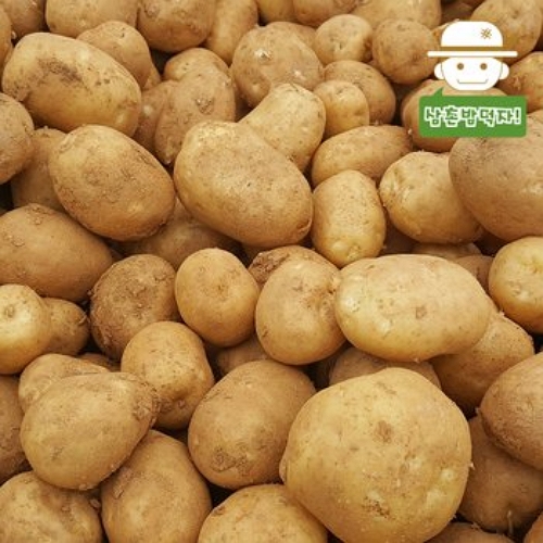 삼촌농장 하우스 수미감자 특 10kg (1개)_이미지