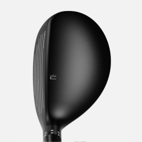 �ں�� OPTM ���̺긮��