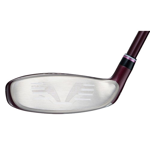 ���� ���ÿ� 13 ������ ���̺긮��