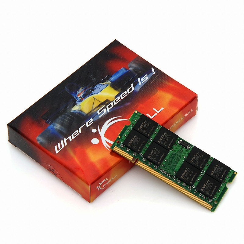 G.SKILL 노트북 DDR2-800 CL5 SQ