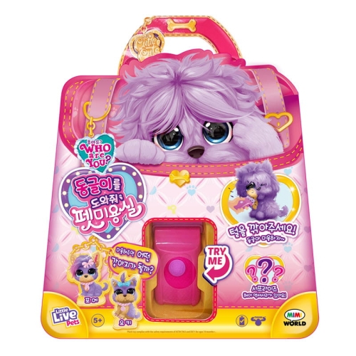 �̹̿��� �ľ��� ������ �� �̿�� ����