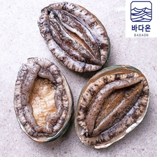 온프레시 완도활전복 7~8미 1kg