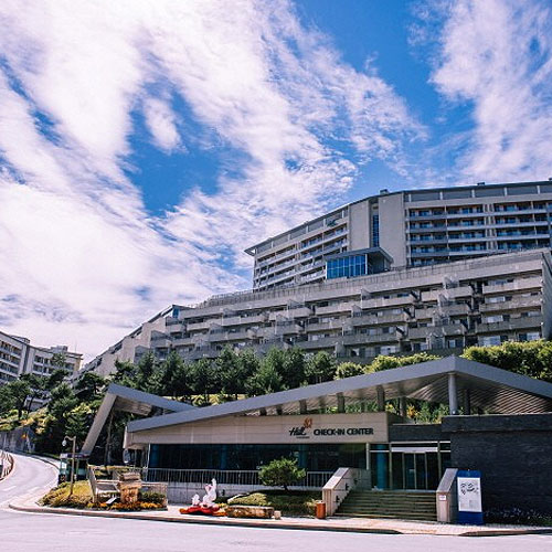 ��������(���̿�) ���̿� �׷���ȣ�� ����Ÿ�� ����