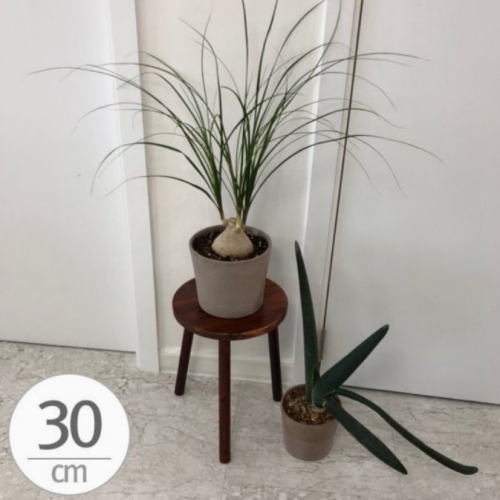 원목 화분 받침대 우드스텐드 30x40cm  스툴  원목,화