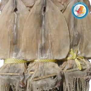 건어물천국  동해안 마른오징어 20미 1.3kg