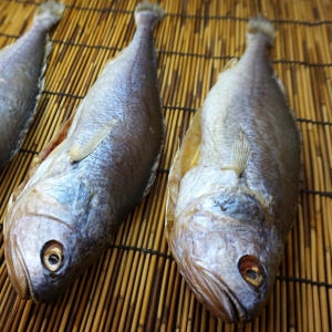 민어청년 반건조 부세 조기 제수용 1마리이미지입니다. 누르면 해당 게시물로 새창이동합니다.