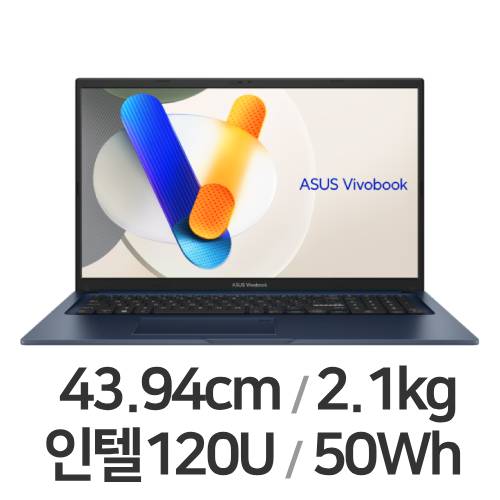ASUS 비보북 17 X1704VA-AU843 (SSD 1TB)_이미지