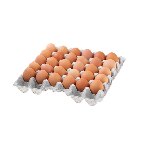 곰곰 무항생제 신선한 왕란 30구 (1개)_이미지