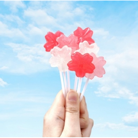 벚꽃사탕 DIY (1개)