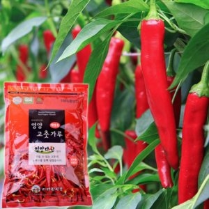 2022 경북 영양 고추가루 3kg