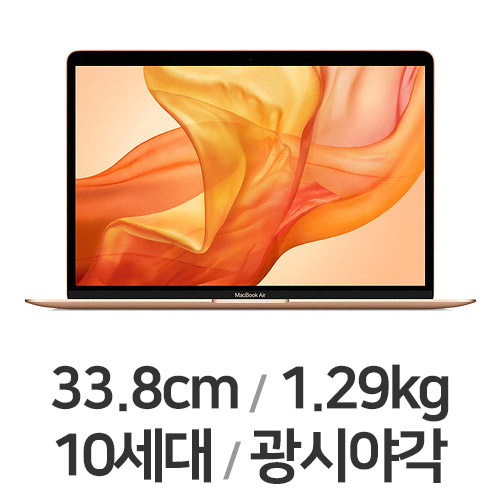 APPLE 2020 맥북에어 MWTL2KH/A (8GB, SSD 256GB)