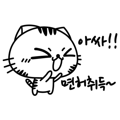 베베오디 고양이 면허 취득 초보운전 스티커