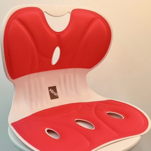 Mirsh �ٸ��ڼ� ����� �ڼ����� ���� ����