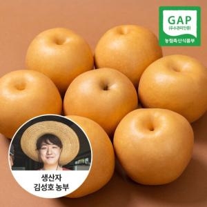 신선연구소 나주 햇배 가정용 6~10과 5kg (1개)_이미지