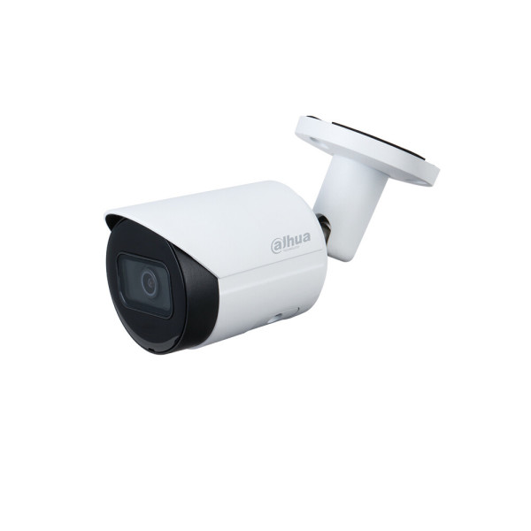 DAHUA IPC-HFW2431SN-S-S2 (3.6mm)_이미지
