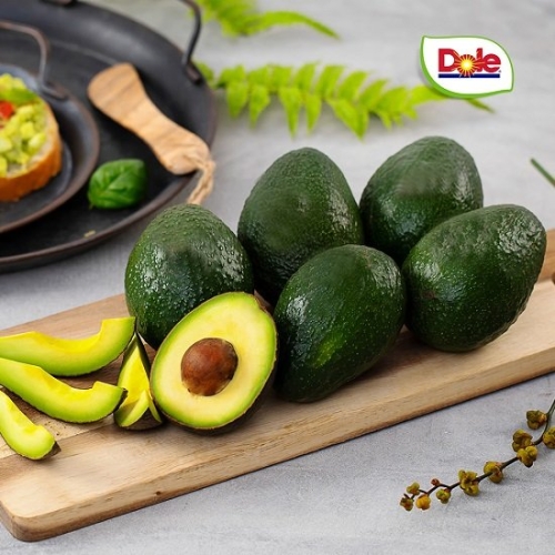 돌 아보카도 중소과/중과/대과 10개_이미지