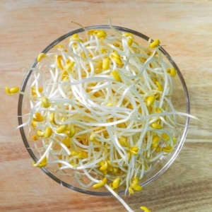 농부마음 천연암반수로 키운 아삭아삭 콩나물 4kg이미지입니다. 누르면 해당 게시물로 새창이동합니다.