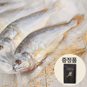 굴비나무 굴비家 잘말린 보리굴비 진공팩 27~29cm