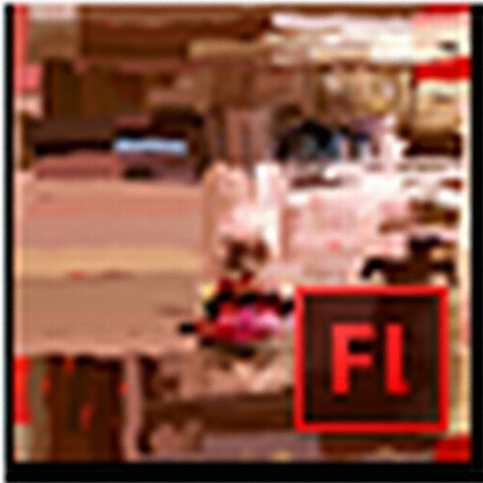 Adobe Flash Professional CS6 (라이선스 영문)_이미지